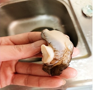 月子吃鲍鱼的最佳时间,产妇月子里什么时间可以吃鲍鱼