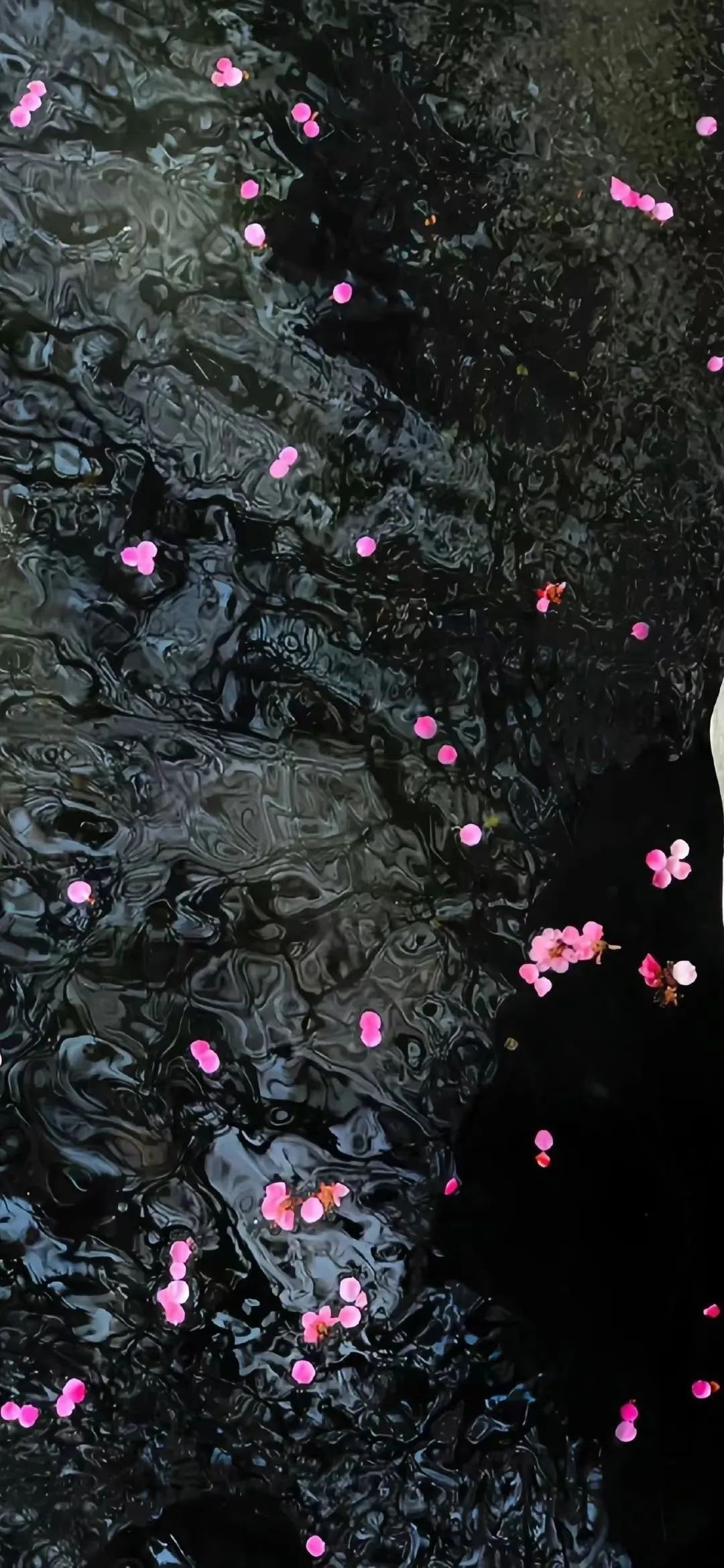 卡通背景素材可爱,可爱卡通聊天背景图片