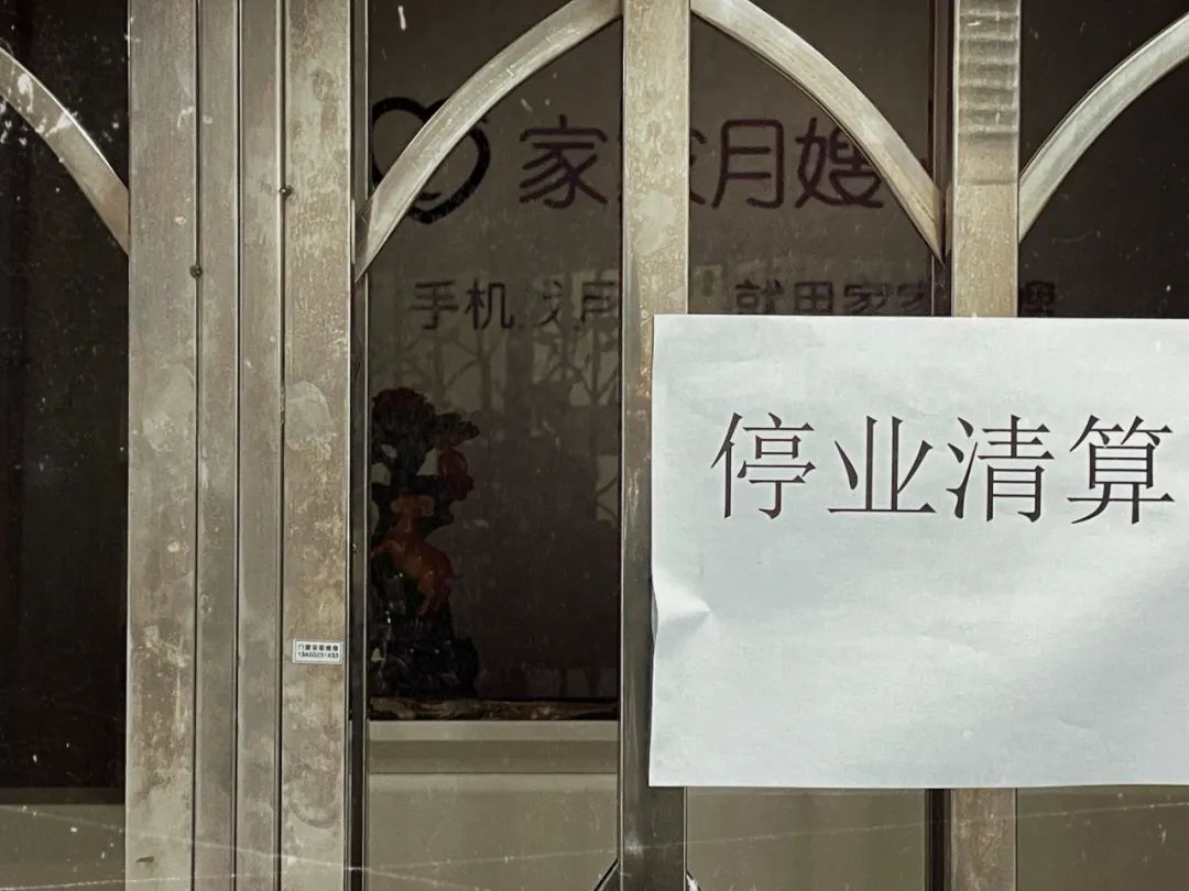 家政为啥这么火,家政爆火标题