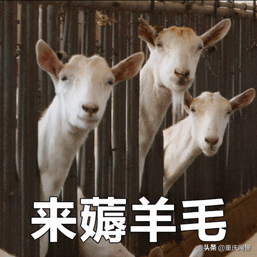 江苏警方打掉一个为“羊毛*党**”提供黑产程序的犯罪团伙