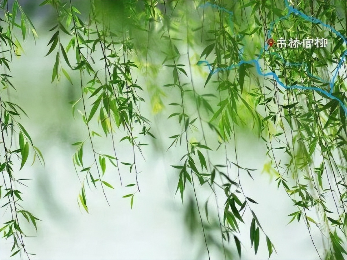 中科院微生物研究所白逢彦,中科院微生物研究所食用菌种