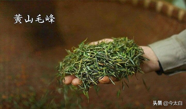 黄山毛峰第一家,黄山毛峰是文化遗产吗