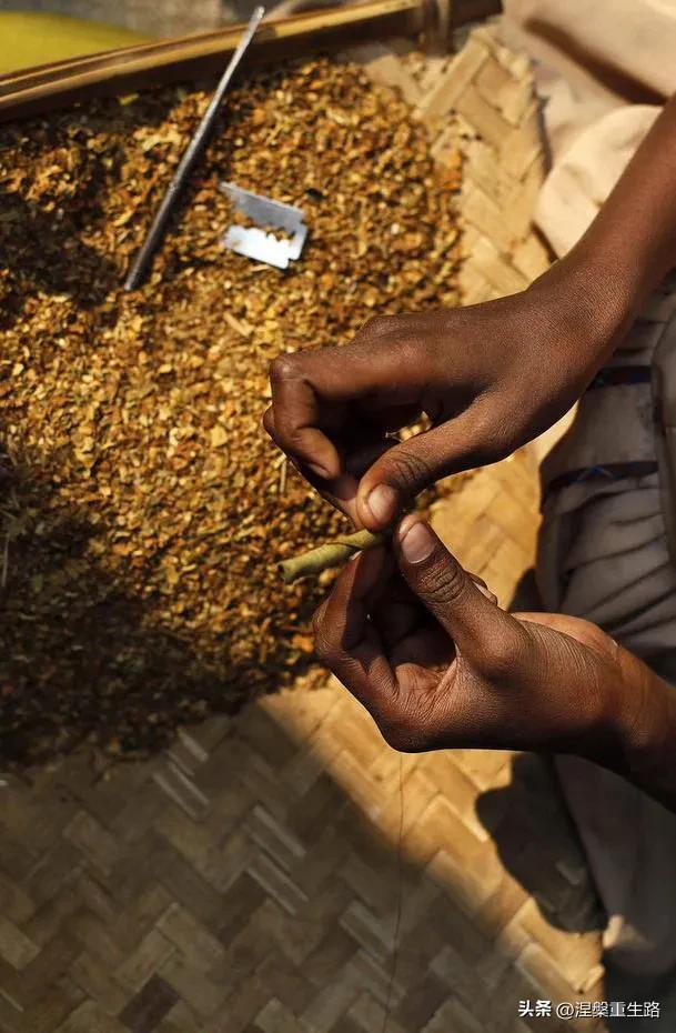 十大雪茄种排行榜,十大品牌雪茄排行榜top10