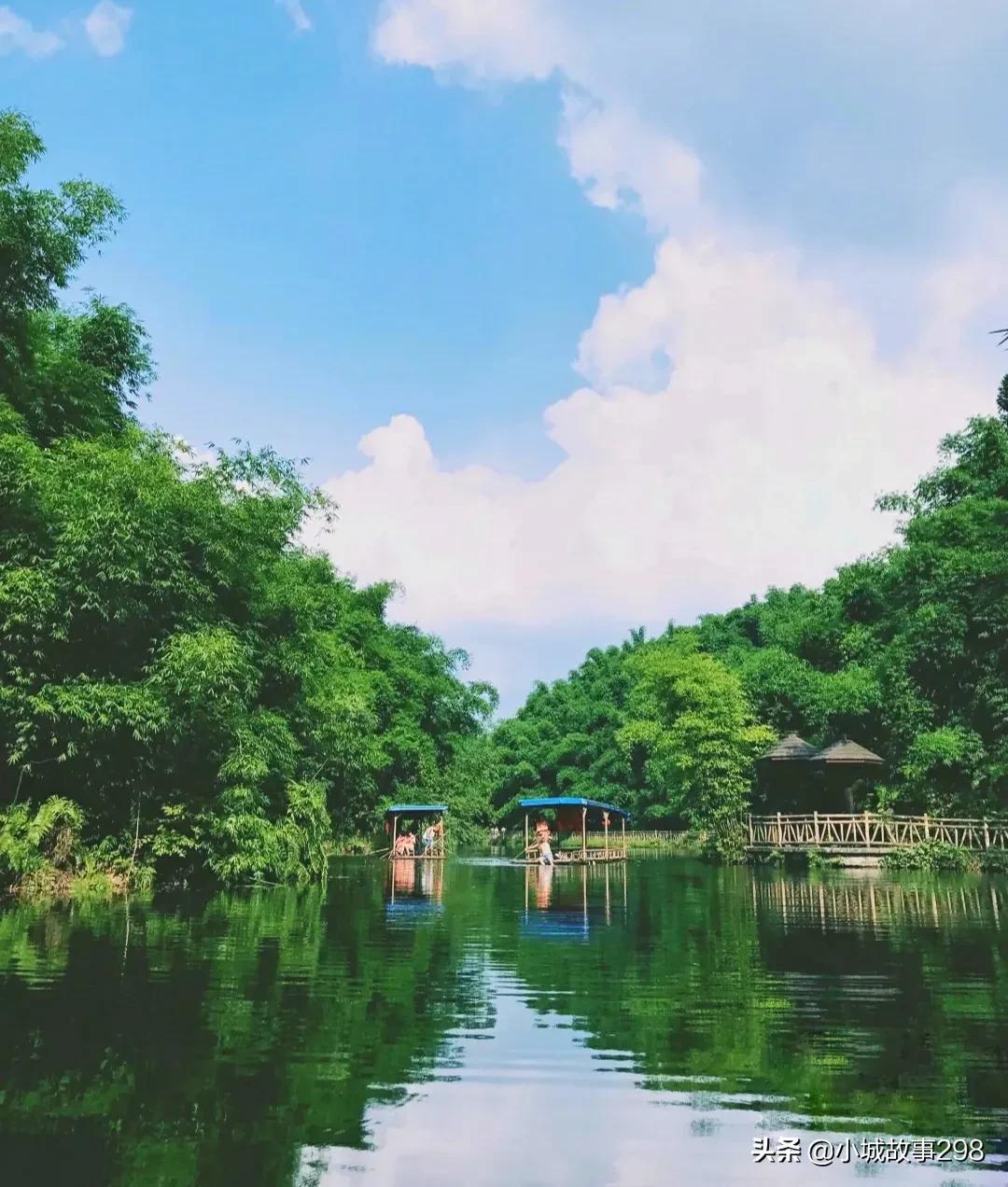 乐山旅游景点沐川竹海,乐山竹海风景区冬季