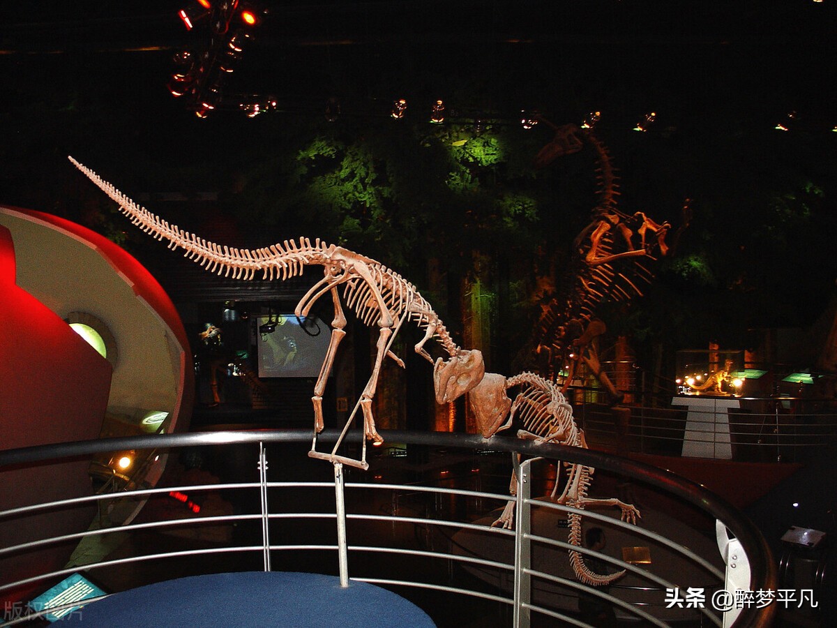 常州环球恐龙城是5a吗,常州环球恐龙城休闲度假区