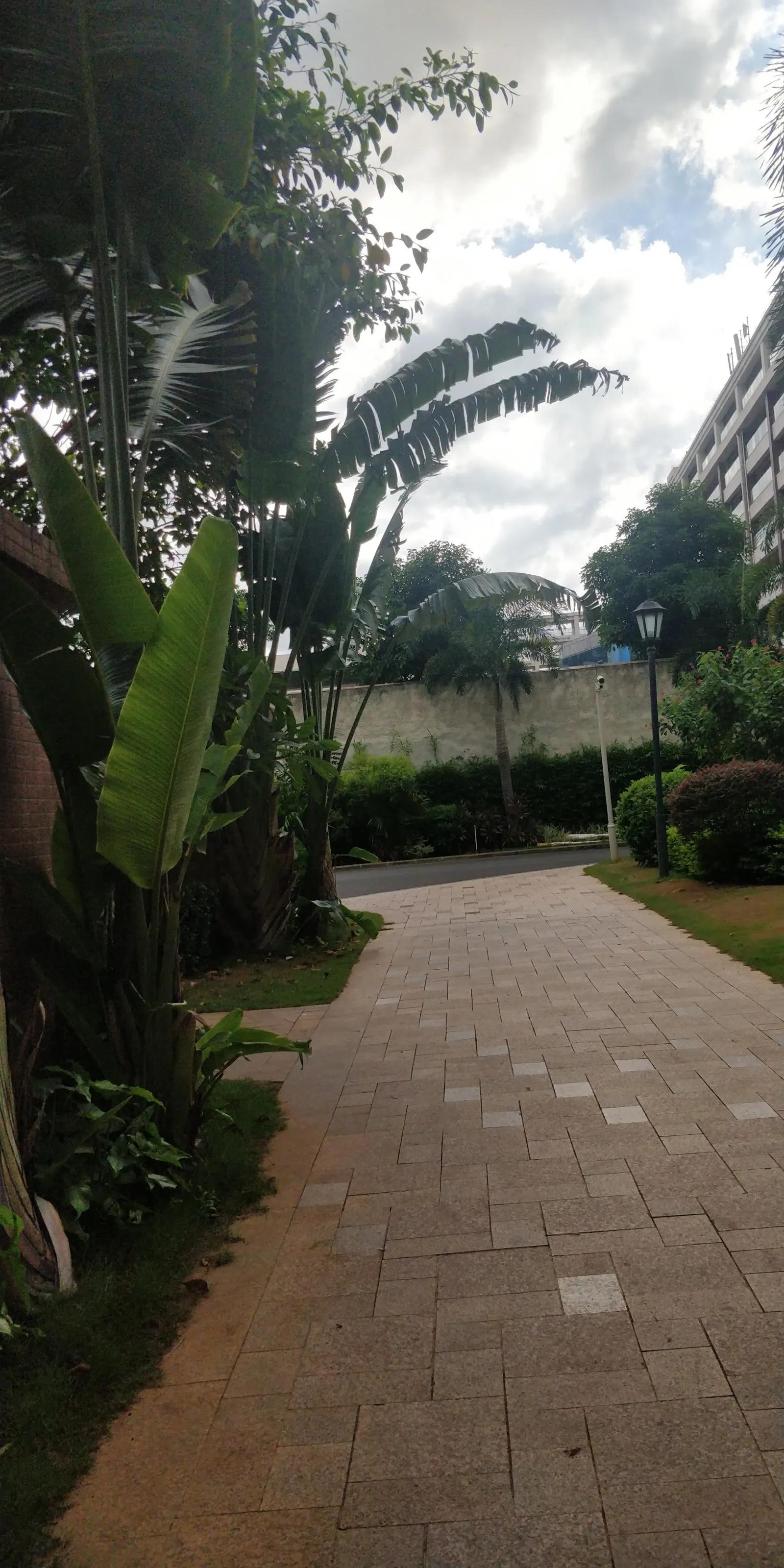 《夏天，去海南避暑》八我是个抡锄农民，也是位有点迂腐的读书人