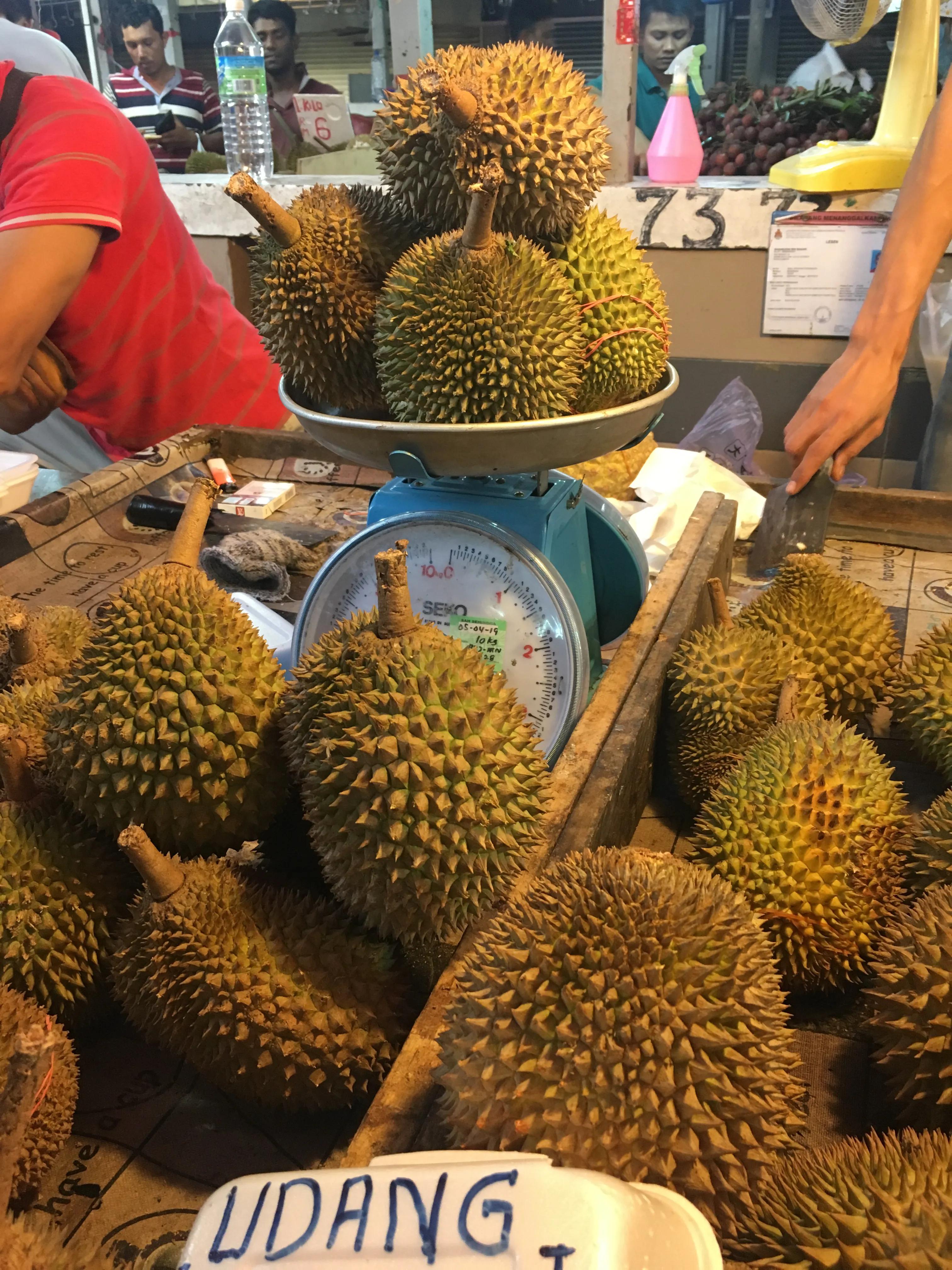 马来西亚的榴莲树多少钱一棵,马来西亚的榴莲产地在哪里