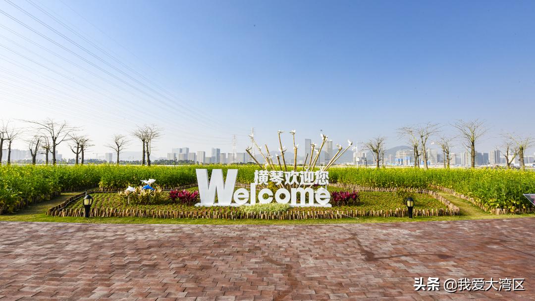 珠海春游赏花,珠海周边踏青景点