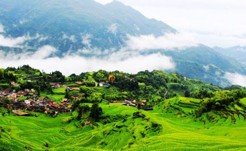 好消息湖北黄冈,黄冈特产专卖店