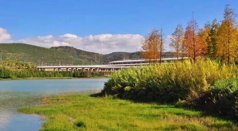 呈贡可以露营的公园,呈贡附近小众的露营地