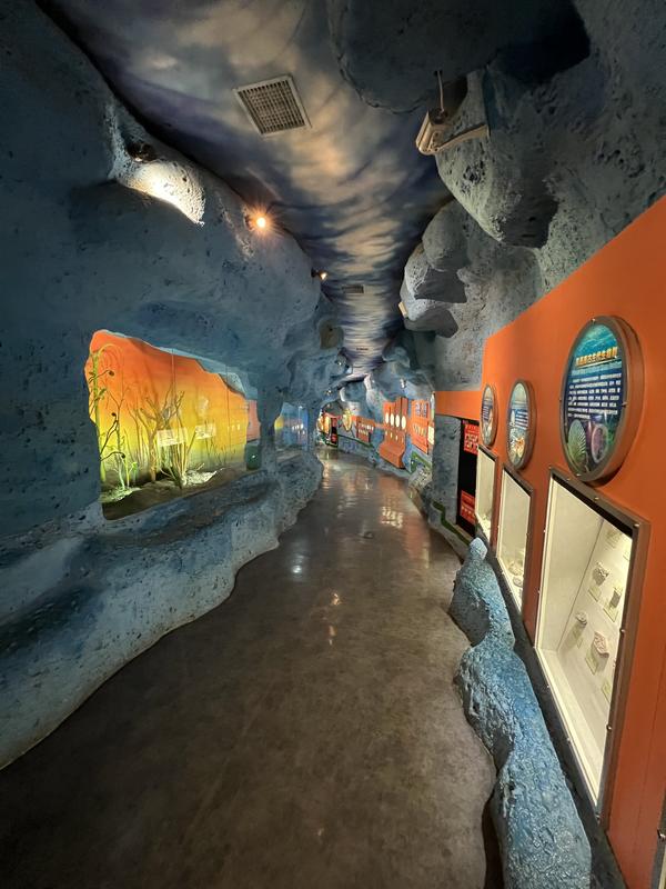 河南博物馆镇馆之宝是哪几件,河南博物馆镇馆之宝白菜蝈蝈