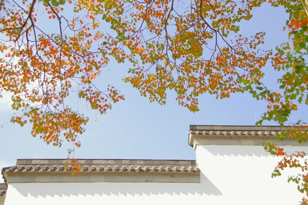 值得反复阅读的经典小说,经典爱国散文名家名篇