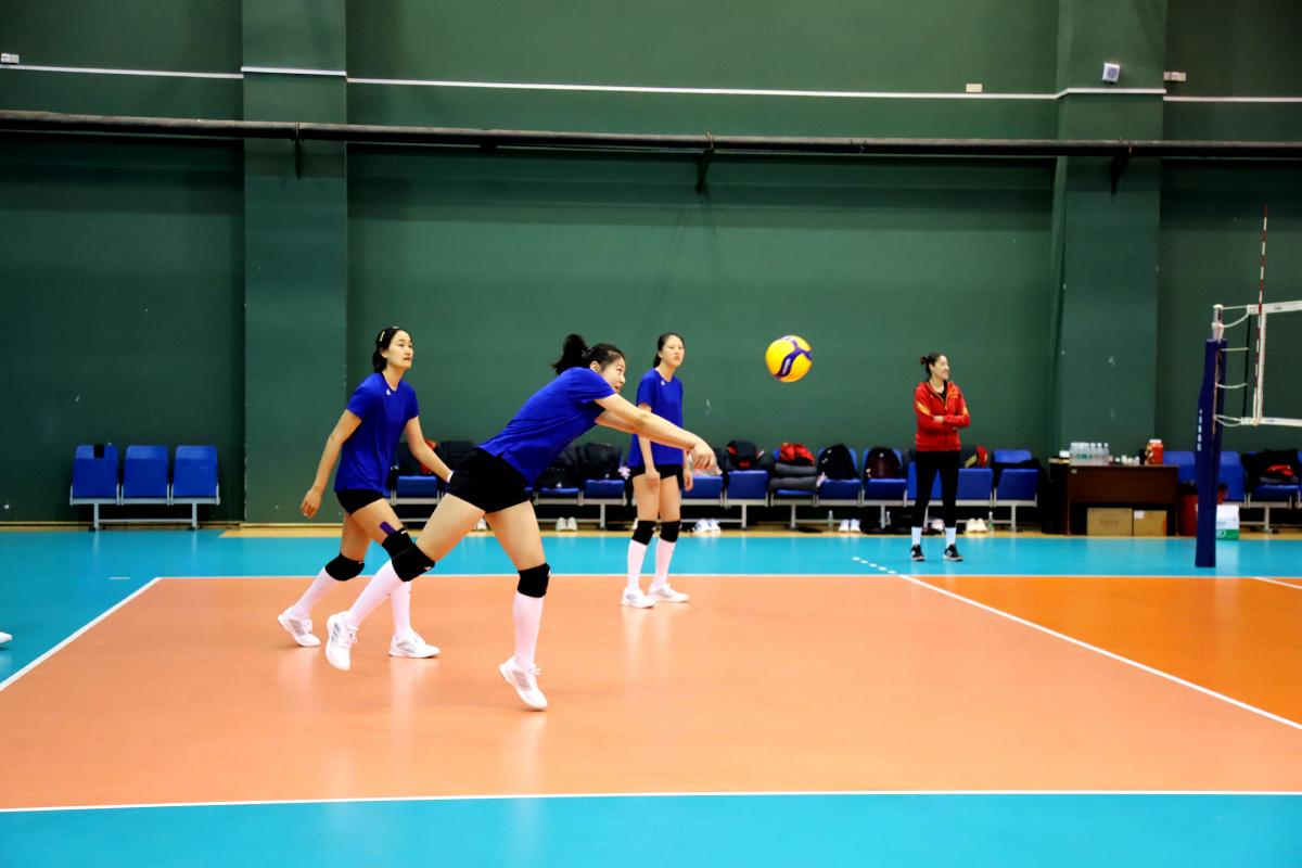 中国女排教练刘晓彤简历,赵勇女排二队教练是谁