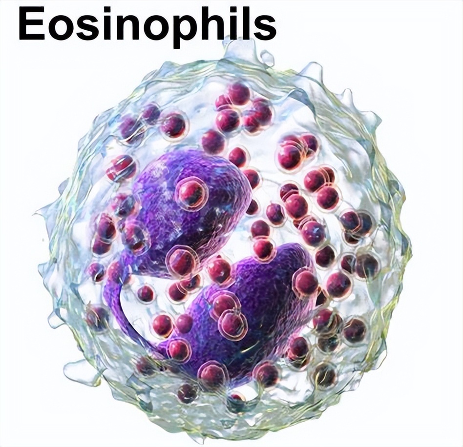 10岁孩子总头疼，发现是大脑异常？医生提醒：小孩别玩非洲大蜗牛