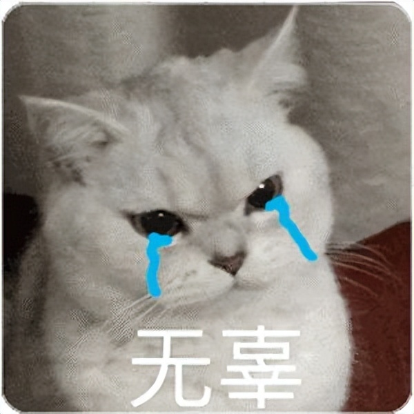 人被猫抓伤咬伤得狂犬病案例,经常被猫抓伤和咬伤该怎么办