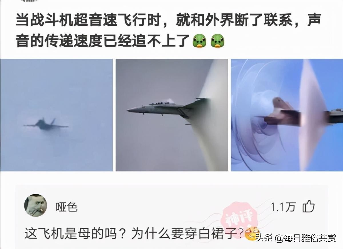 【盐选神回复】爱了爱了