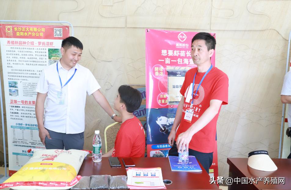 2023年南县小龙虾价格行情,南县小龙虾价格报价