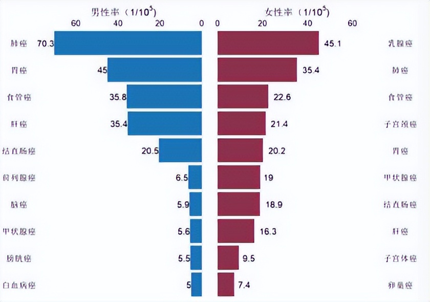 郑州市新增7例新冠肺炎无症状感染者/郑州发布101号通告/放假通知，不调休/郑州房贷利率步入4.4时代