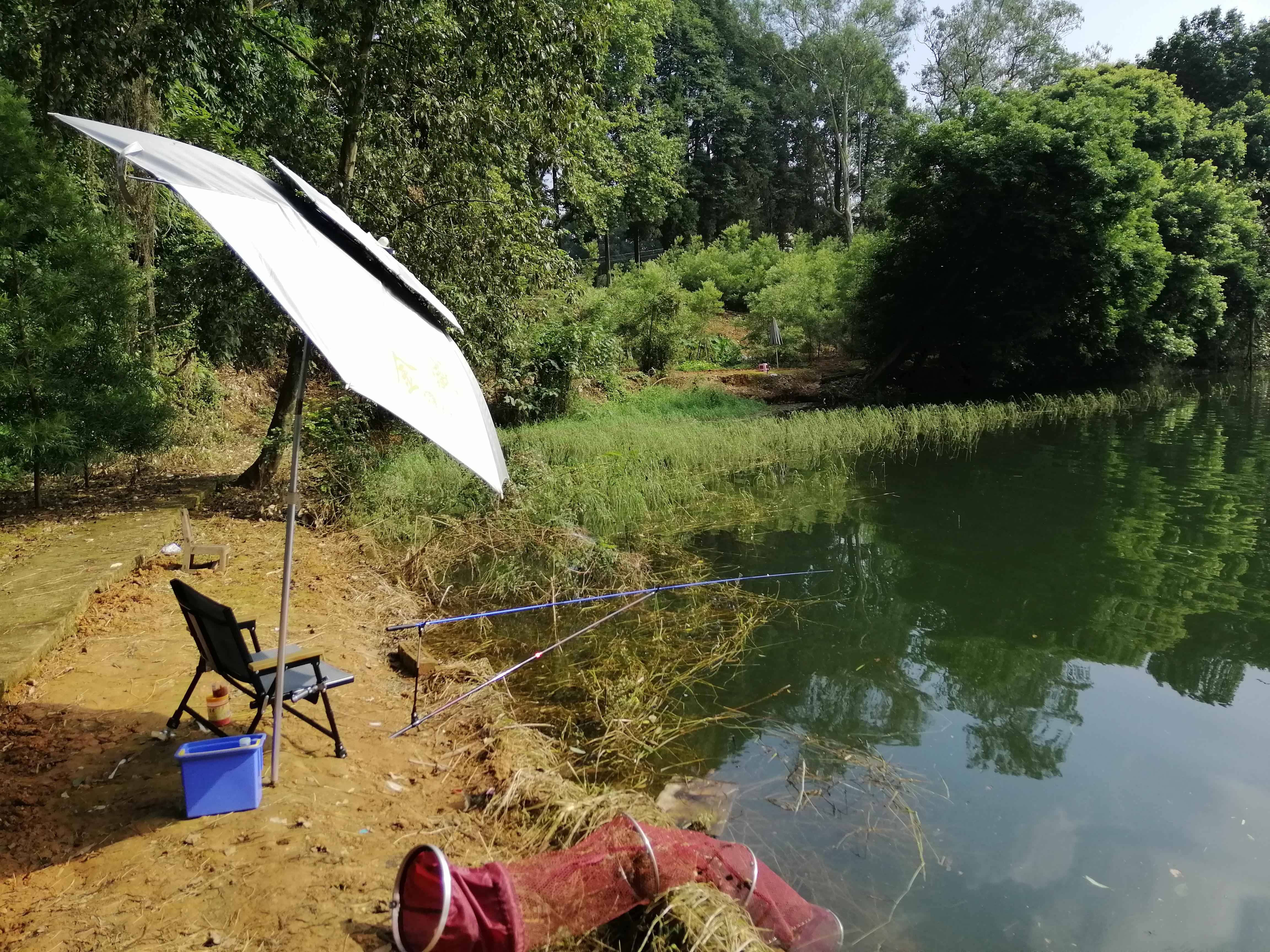 初春挑战攻略,初春挑战什么时候有