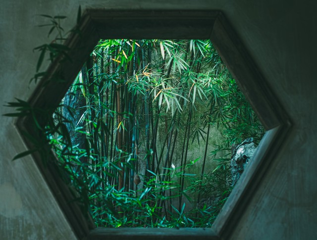 江苏十大旅游必去景点有哪些,江苏旅游必去十大景点推荐一下