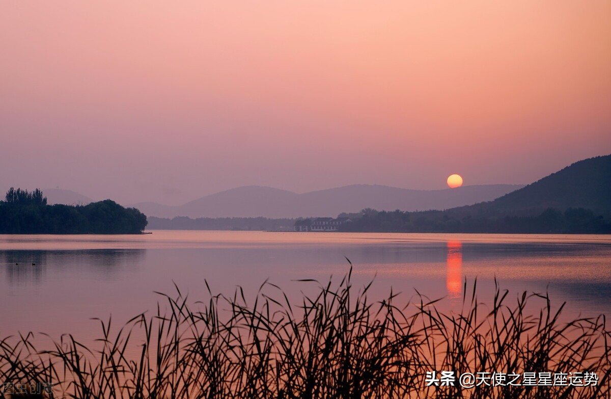 每日星座运势2022年10月19日,十二生肖2021年11月29日运势