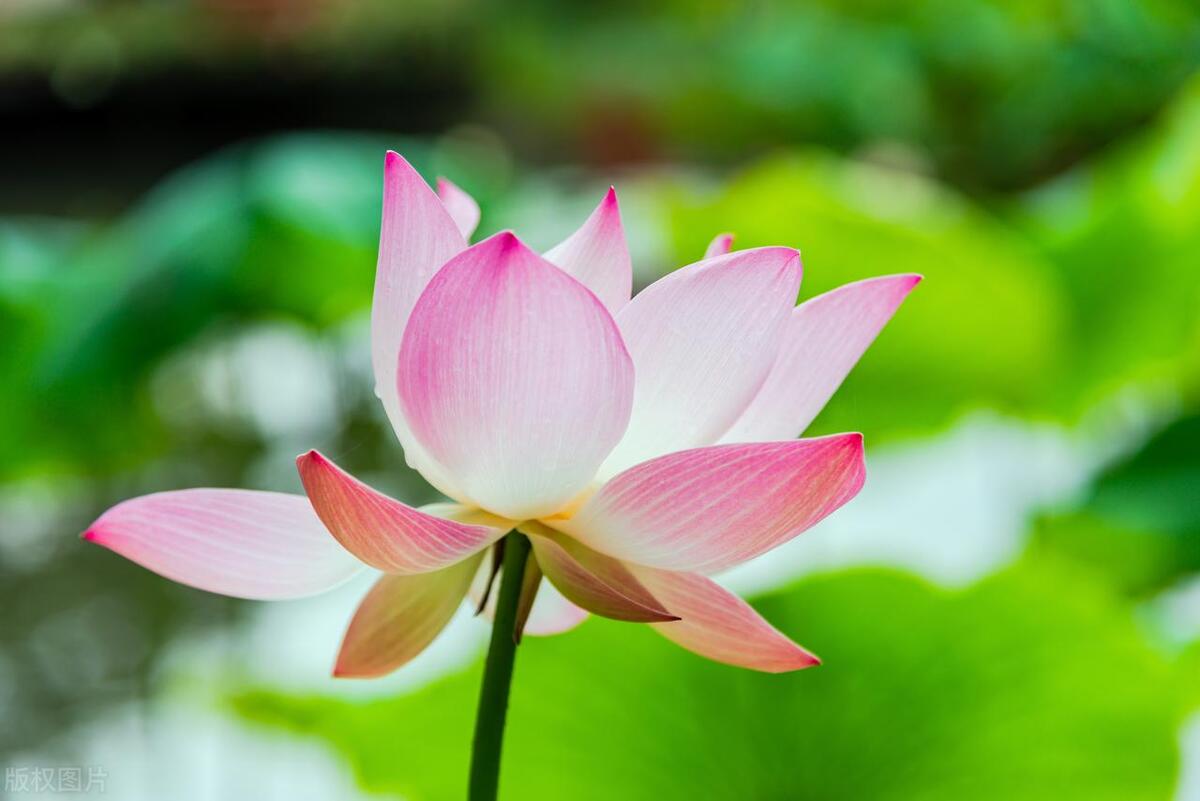 浙江尘肺病工伤赔偿,尘肺病工伤赔偿一至4级标准