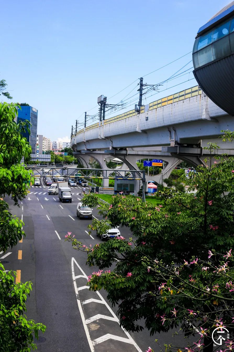 深圳航空空姐空少,深圳航空空少乘务员