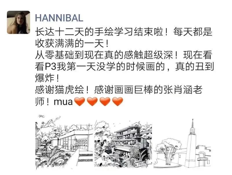 猫虎画,猫虎绘画