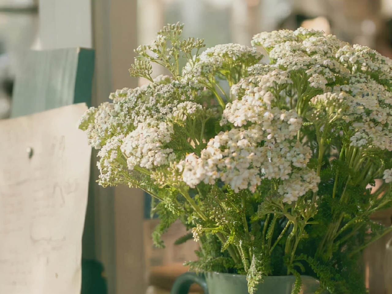 双子座的优点和缺点图片,双子座所有的优点