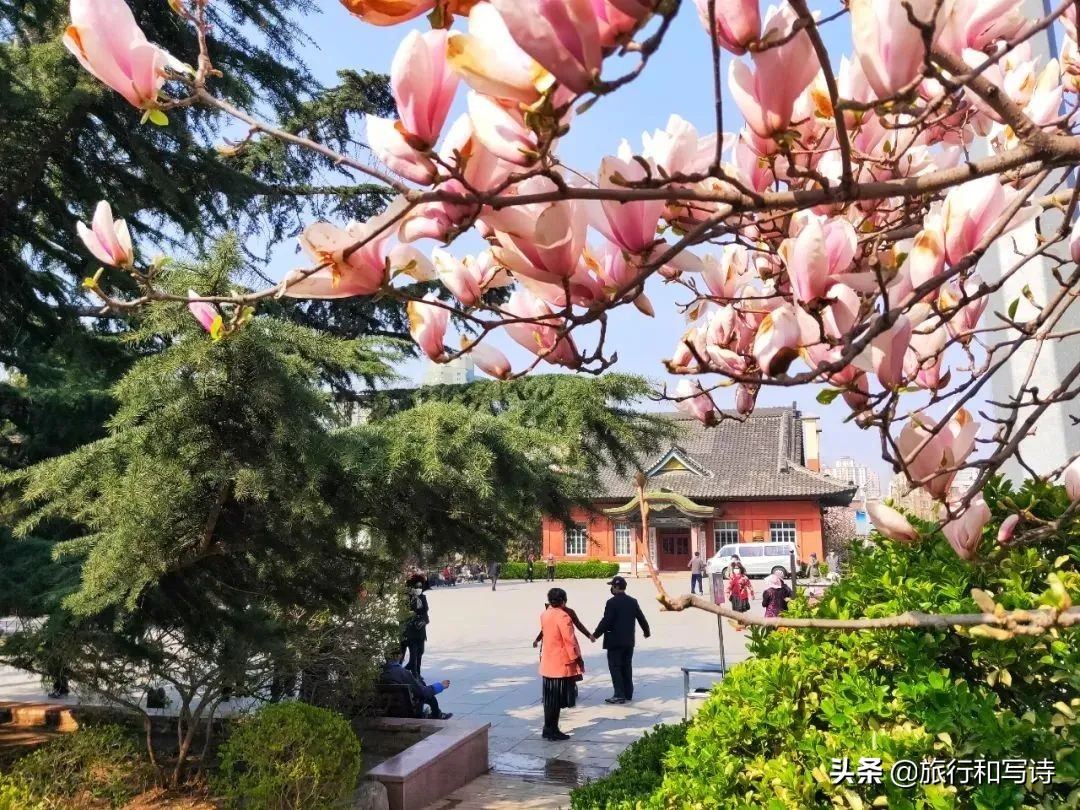 大连景点免费,大连免费景点排行榜前十名