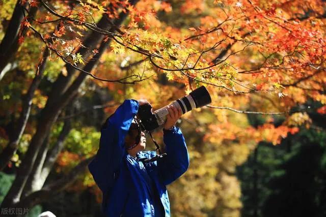 做自媒体需要掌握哪些技能,自媒体需要具备的能力