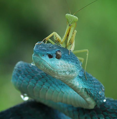 十大经典抓拍照片,100张绝美摄影照片