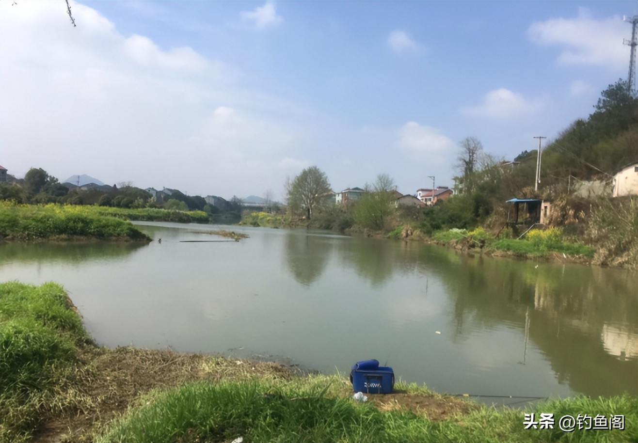 隔夜的玉米窝第二天用什么钓鲤鱼,冬季用玉米打隔夜窝能钓到鲤鱼吗