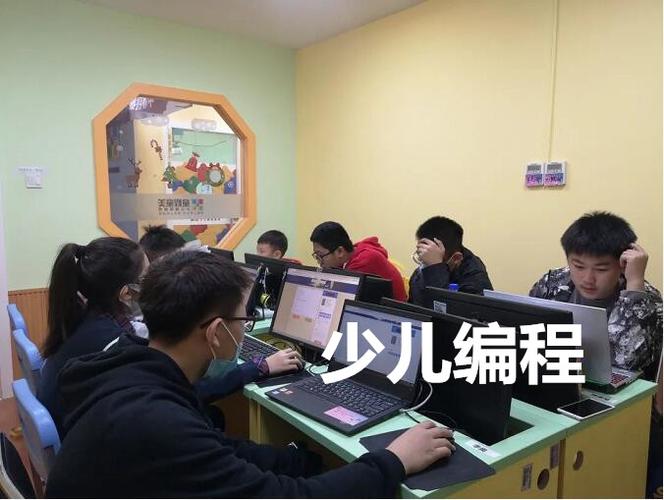 将编程教育纳入中小学课程体系,编程是否已纳入中小学必修课程