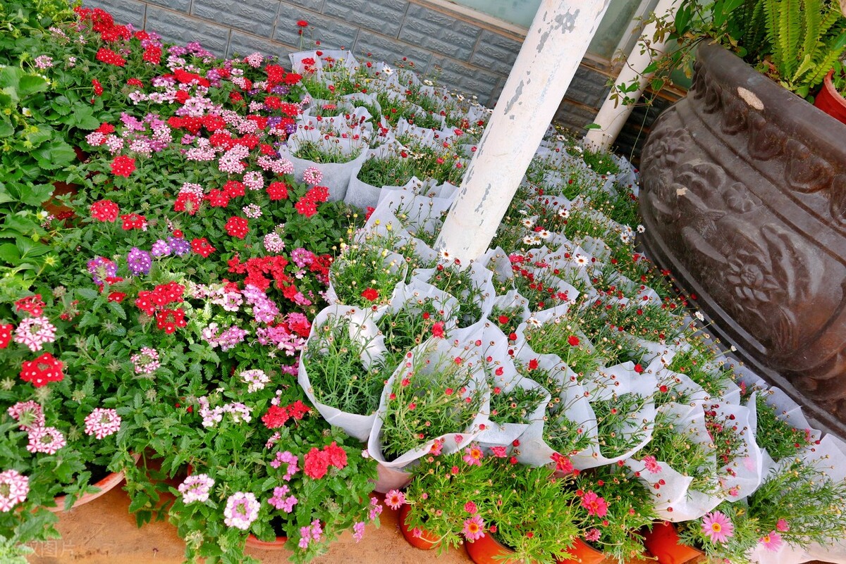 去云南昆明旅游攻略必去景点,云南的昆明旅游攻略必去景点顺序