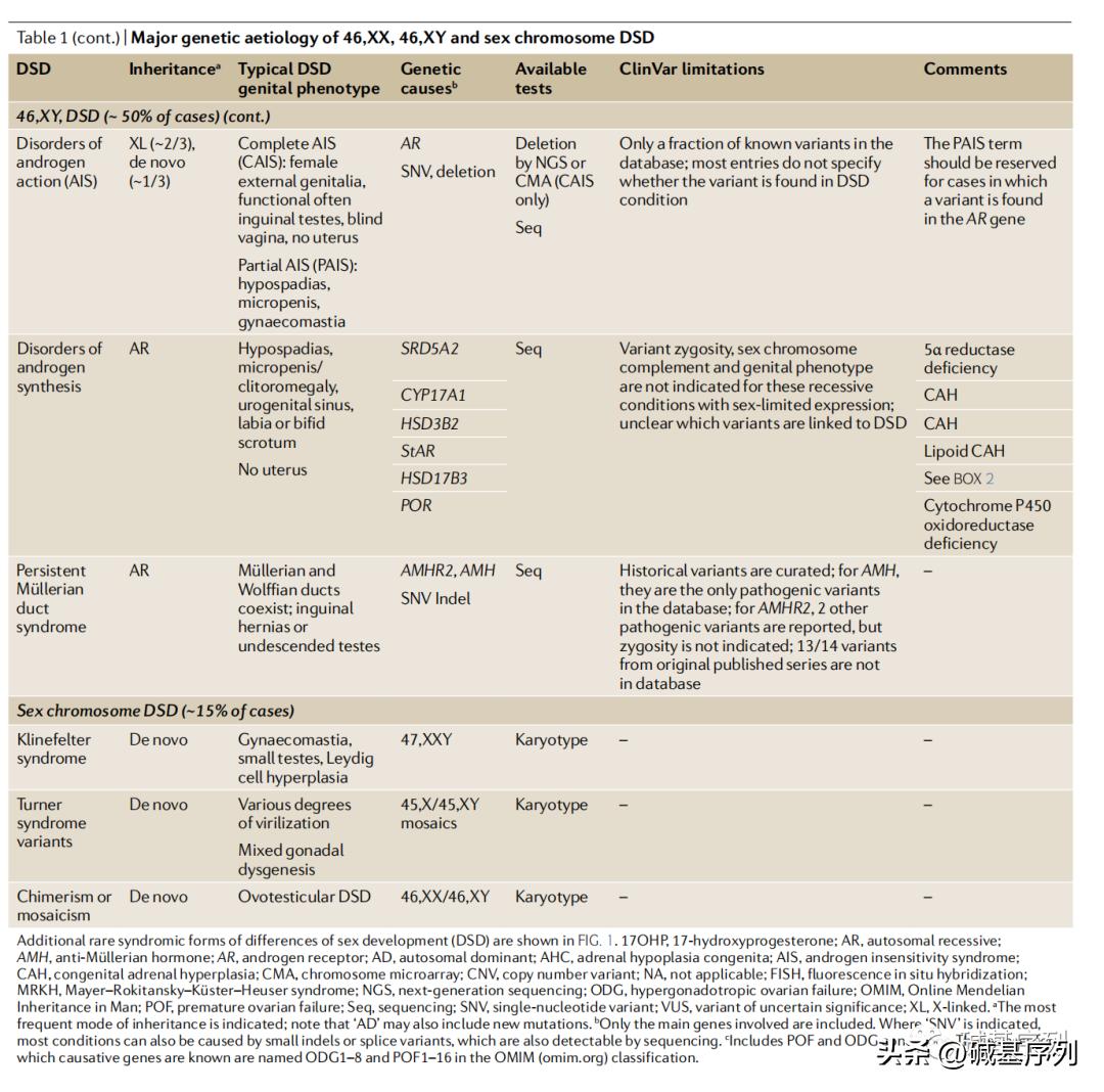 怀孕了第一胎宝宝会知道么,怀孕胎儿外貌什么时候确定
