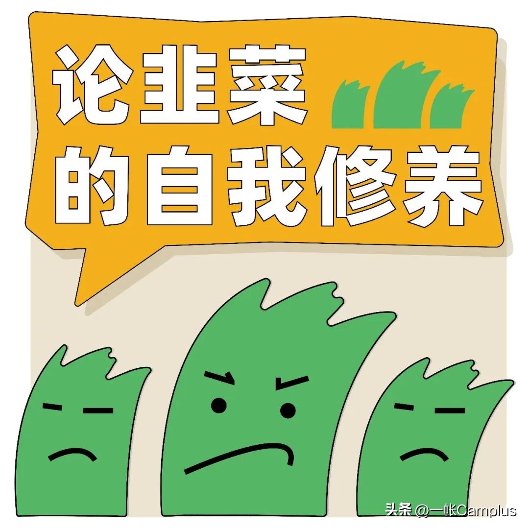 snowpeak发展史,snowpeak上海