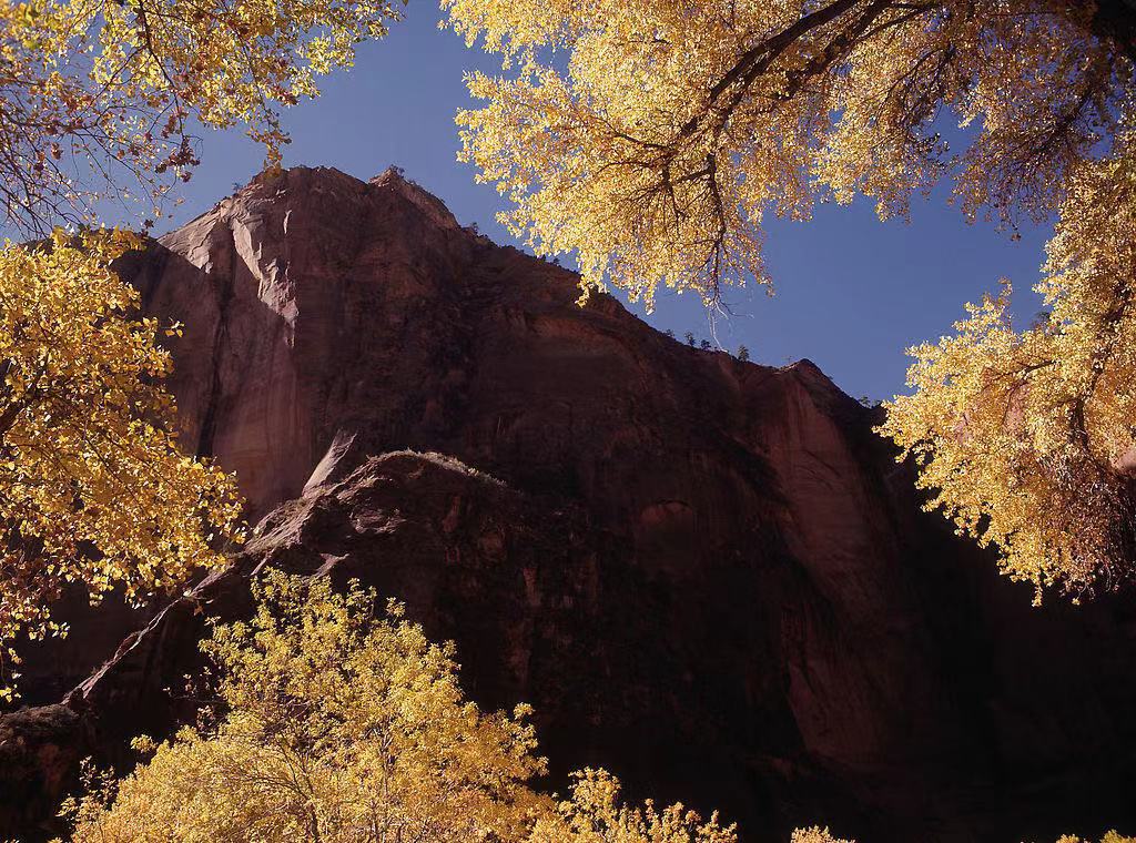 住进新家之后，老婆爱上了楼下邻居，我用离婚成全了他俩