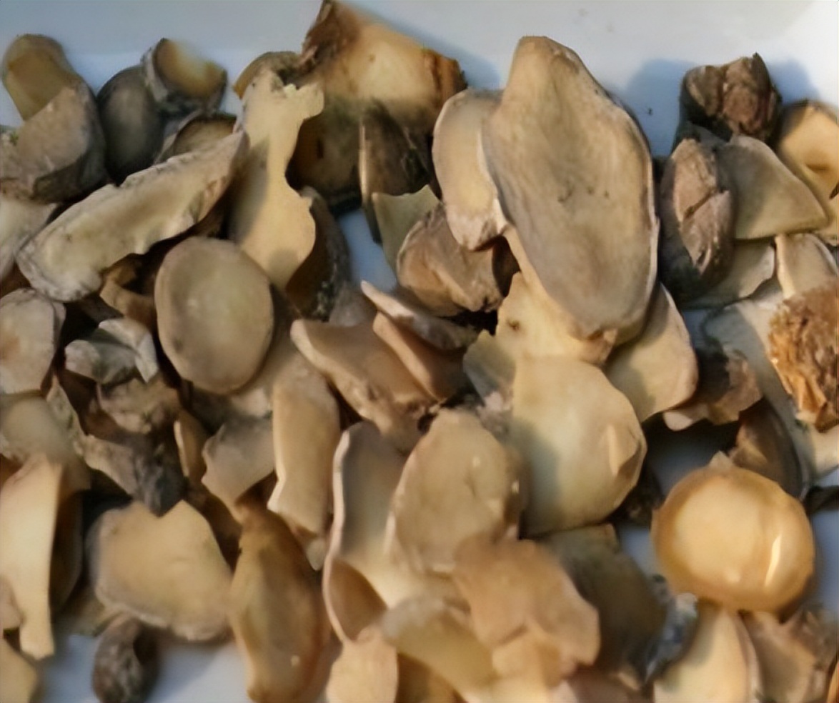 大医李可在线阅读,李可治脾胃病最佳方法