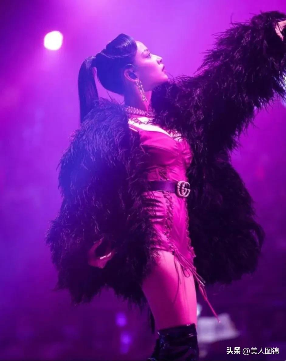 越南芝芙,芝芙越南