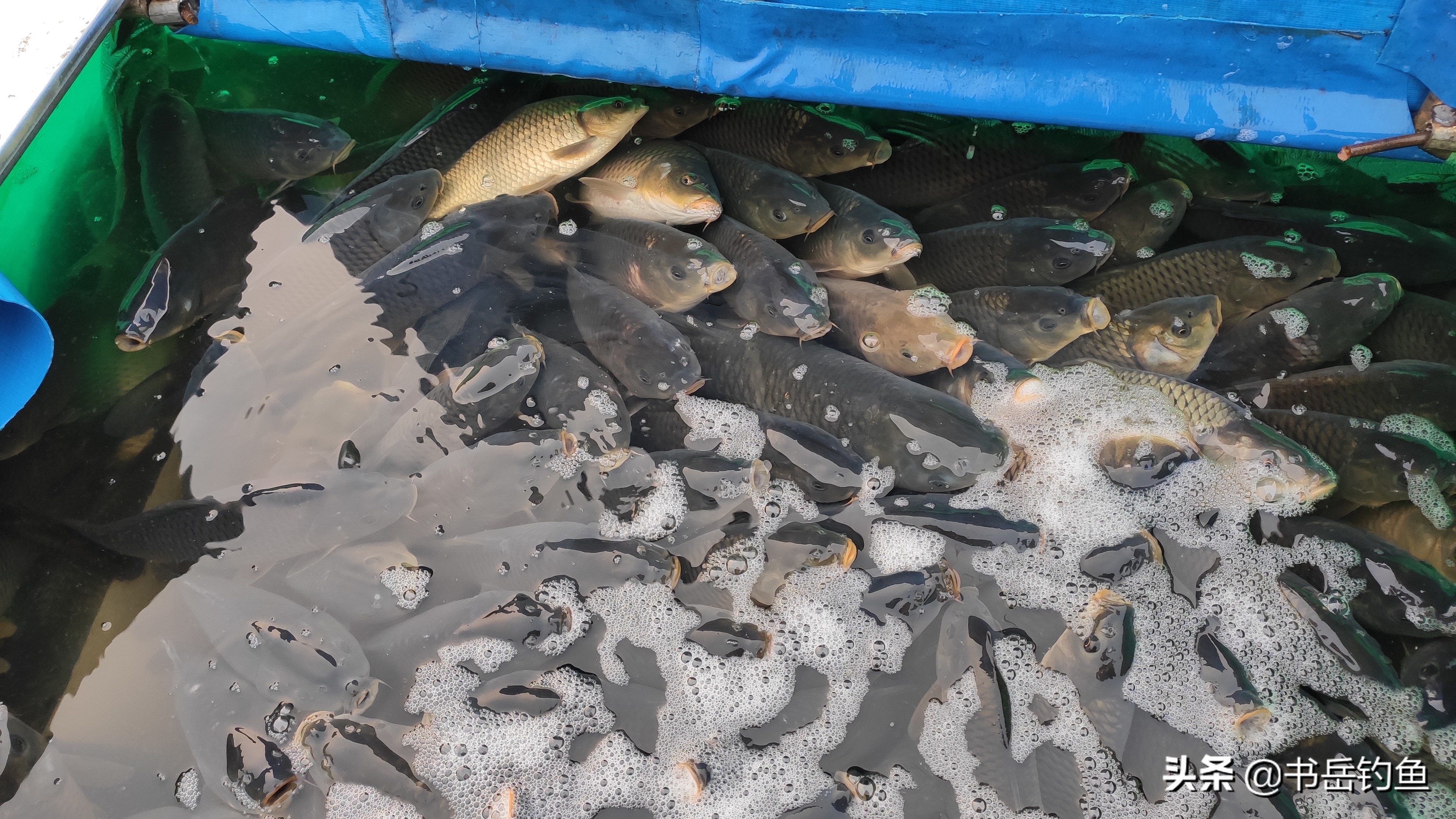 到底要不要买路亚竿,到底要不要买传统鱼竿