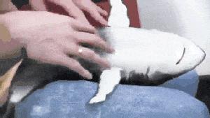 女性乳头痒痛怎么治疗,女性右边乳头痒痛怎么回事