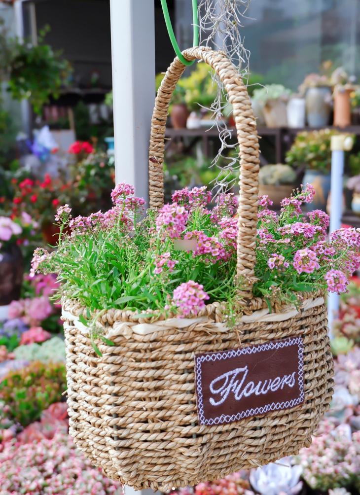 母亲节鲜花花束深圳,深圳福田区母亲节鲜花