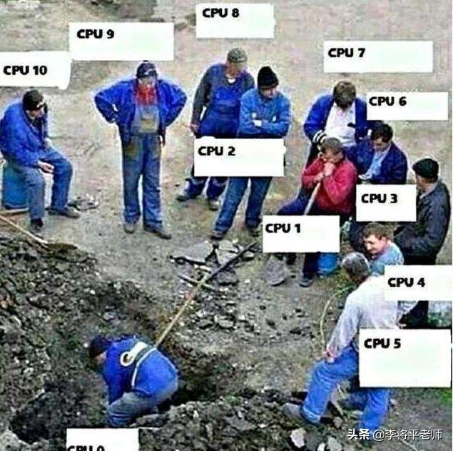 3个心脏的章鱼是什么,地球的外星生物章鱼