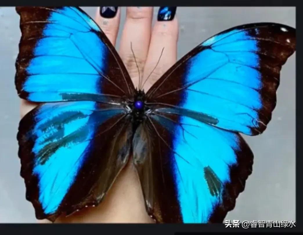 让我痴，让我醉，让我爱你没商量。