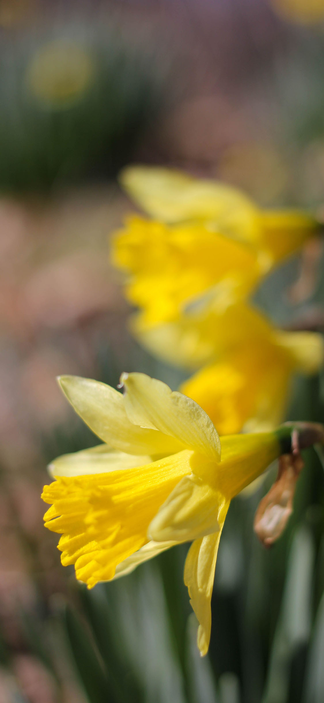 2023年手机壁纸,2023年最新款超清手机壁纸