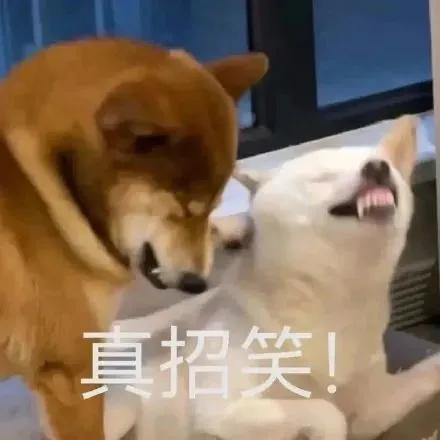 聪明水动画,聪明水的功效和作用