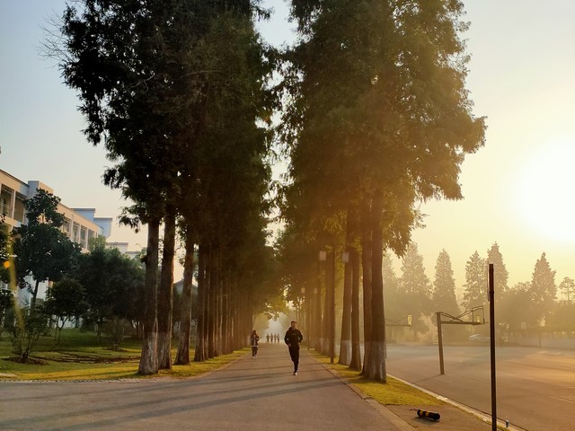 释放风水在你生活中的治疗潜力