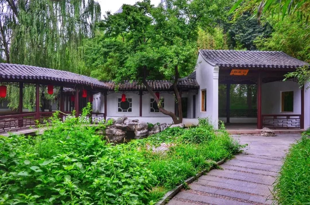 北京8处赏荷胜地,北京赏荷花最美的地方