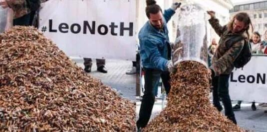 日本为何收购我国废烟头,烟头回收到底用来干什么